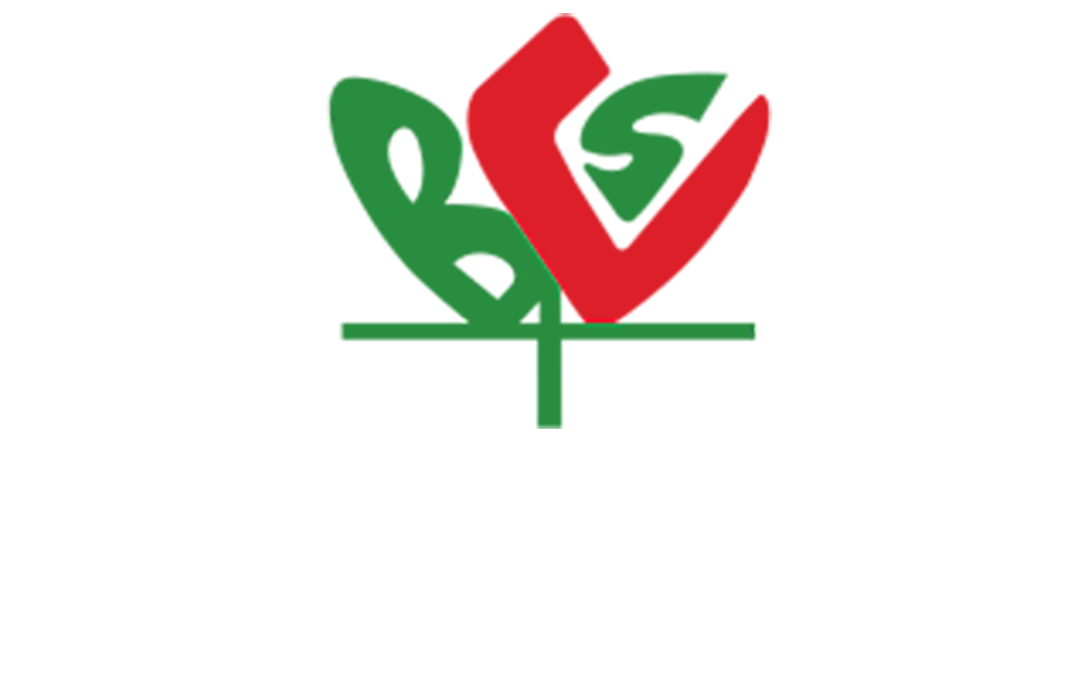BCS Logo
